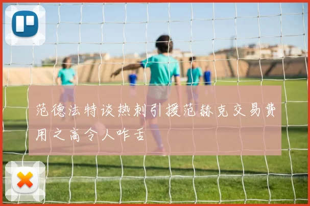 范德法特谈热刺引援范赫克交易费用之高令人咋舌
