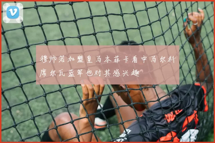 穆帅若加盟皇马本菲卡看中马尔科席尔瓦蓝军也对其感兴趣